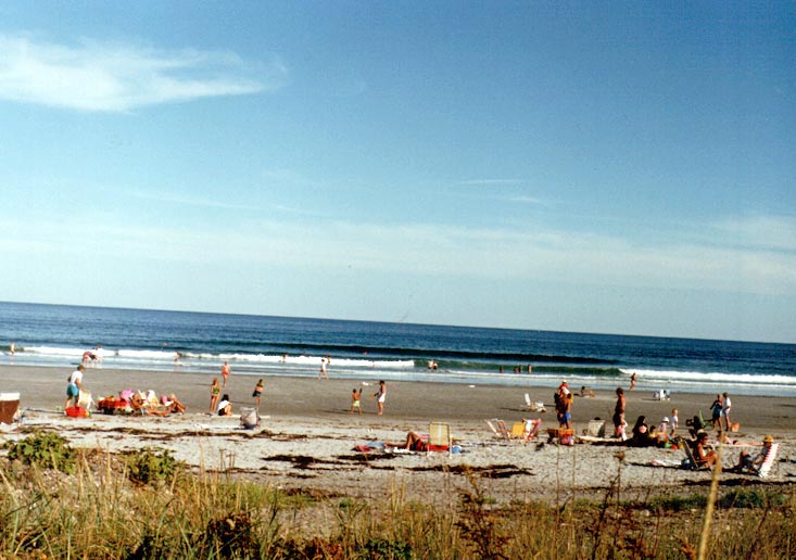 People enjoying at the beach near the Long Beach Motor Inn